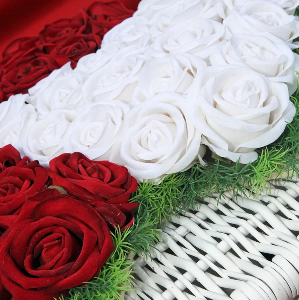 Mooie perfecte rode en witte rozen Rechtenvrije Stockfoto's