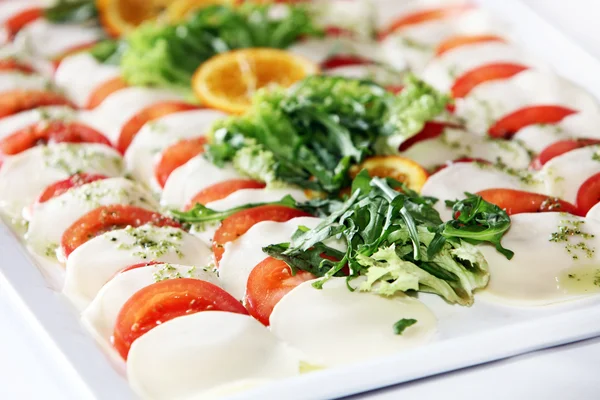 Catering schotel met tomaat en kaas — Stockfoto