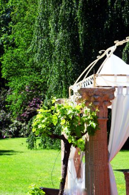 Garden wedding canopy or bower clipart