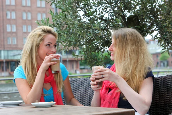 stock image Female friends chatting over refreshments