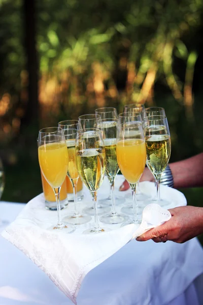 Servitören Bärplattan champagne — Stockfoto