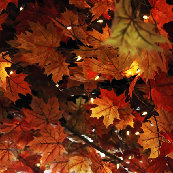 Φθινόπωρο φύλλα φόντο Εικόνα Αρχείου