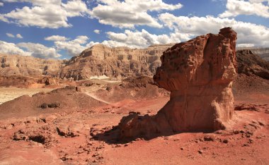 Timna park. Arava çöl, İsrail.