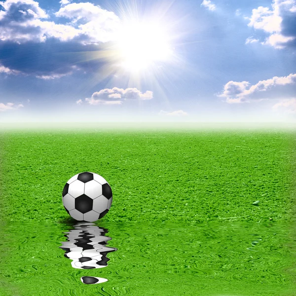 Klassieke voetbal op groen gras weerspiegelen in water — Stockfoto