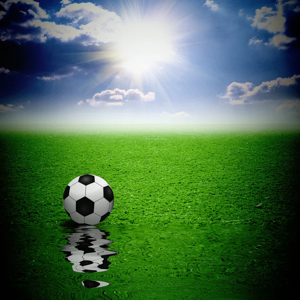 Classic soccer ball on green grass reflecting in water — Stock Photo, Image