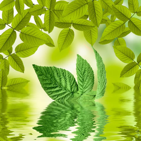Φυσικό καλοκαίρι πράσινο φόντο με ήλιο αντανακλούν στο νερό — Φωτογραφία Αρχείου