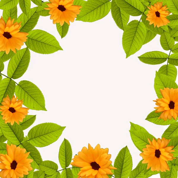 Natürliche Sommer grünen Hintergrund mit Blume — Stockfoto