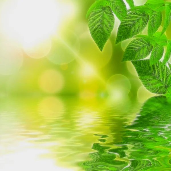 Illustration of natural green background — Stock Photo, Image