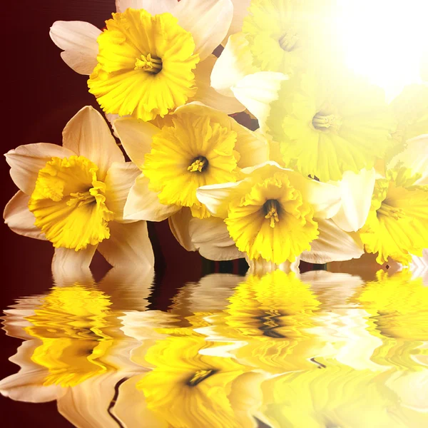 Beautiful spring flowers reflecting in water — Stock Photo, Image