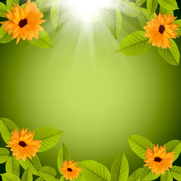 Natürliche grüne Hintergrund mit Blumen — Stockfoto