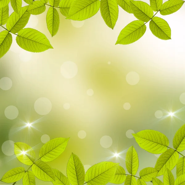Doğal yeşil arkaplan — Stok fotoğraf