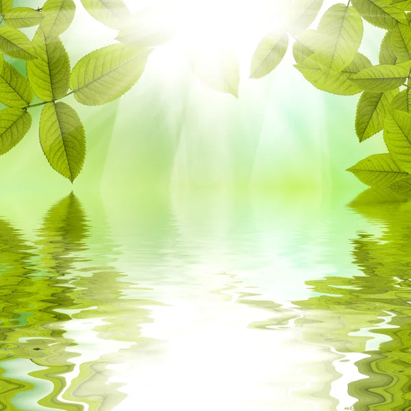 Prachtige natuur zomer achtergrond weerspiegeld in water — Stockfoto