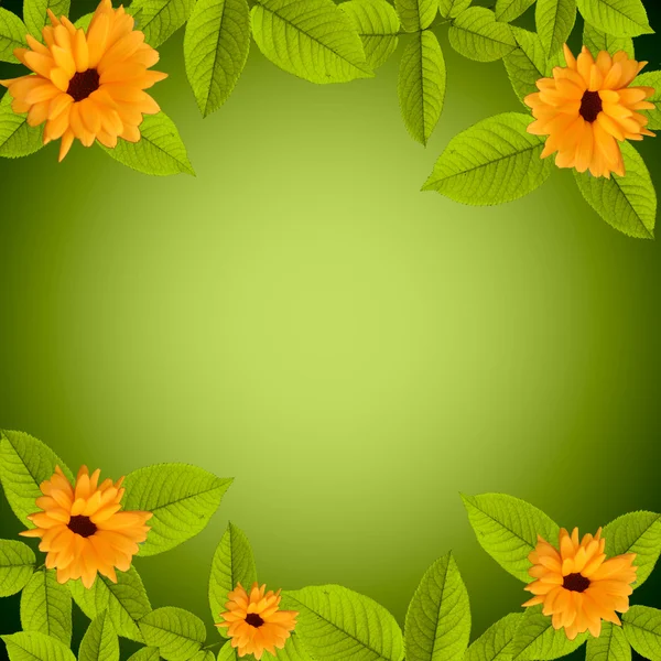 Natural green background with flowers — Stock Photo, Image