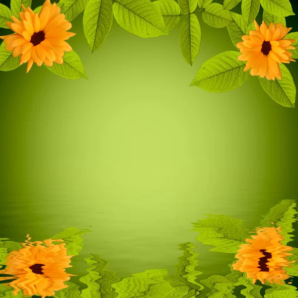Natural green background with flowers reflected in water — Stock Photo, Image