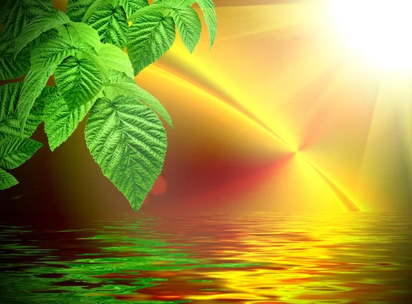 Green on a orange fractal background with sun reflected in water — Stock Photo, Image