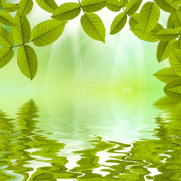 Beautiful Nature summer background reflected in water — Stock Photo, Image