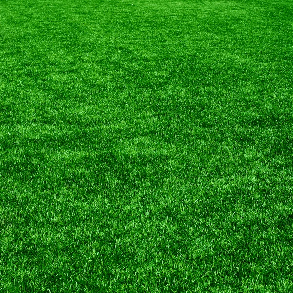 Het gras uit golf veld. textuur van groen gras — Stockfoto