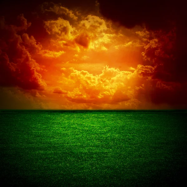 Fırtına gökyüzü günbatımı üzerinde ince bir yeşil çayır — Stok fotoğraf