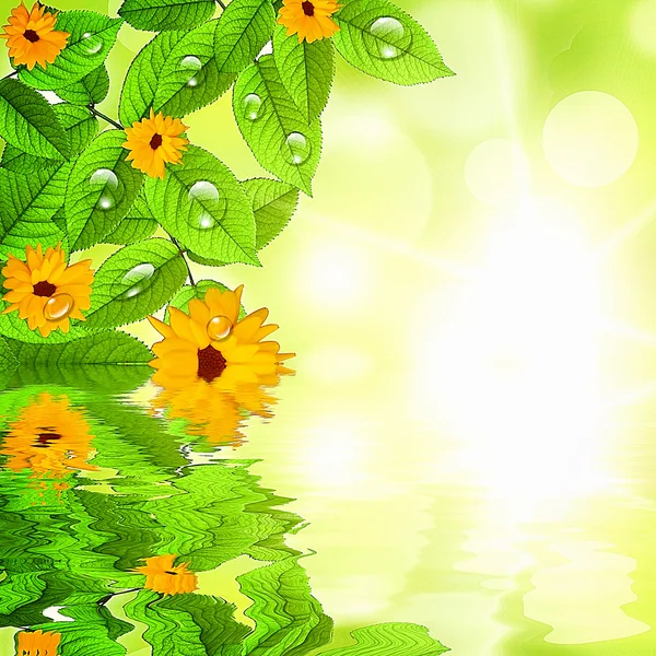 天然绿色背景与太阳和花的插图 — 图库照片