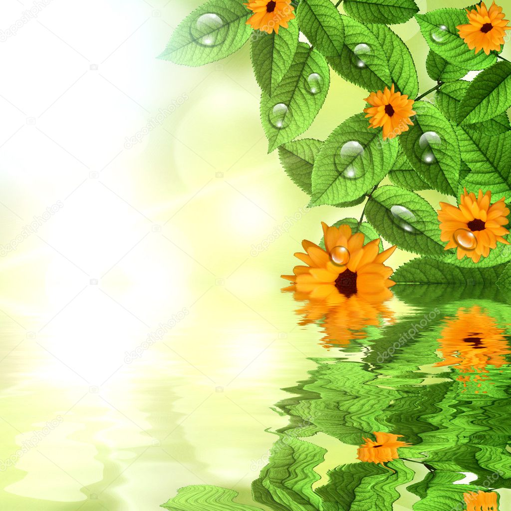 Natural green background with sun and flower