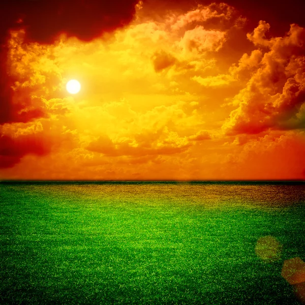 Um belo prado verde com árvore Tudo no céu por do sol — Fotografia de Stock