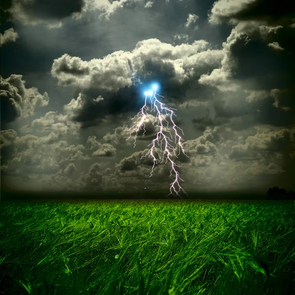 O campo de weat e tempestade com relâmpagos — Fotografia de Stock