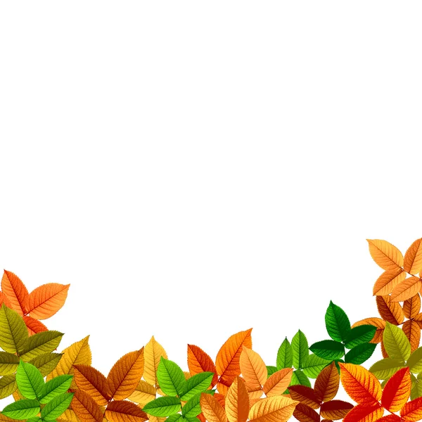 美丽的秋天自然背景 — 图库照片