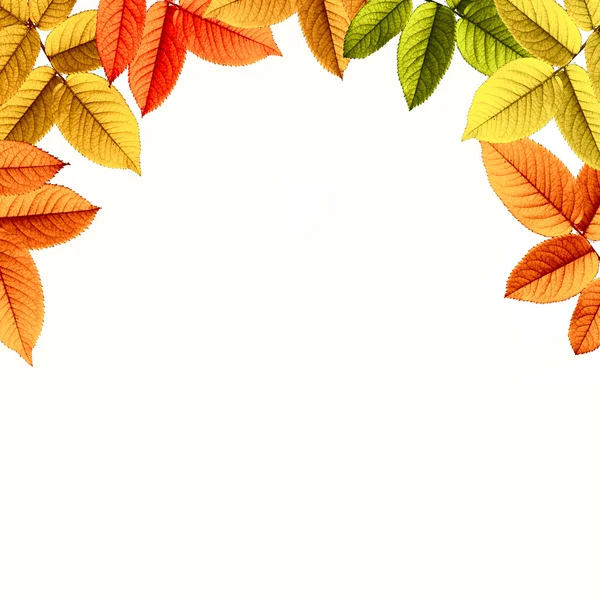 Beautiful Autumn Natural Background — Stock Photo, Image