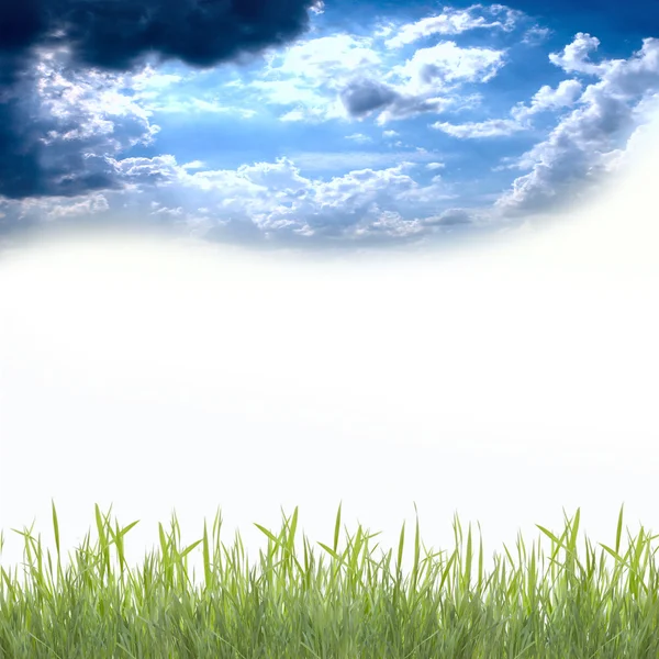 Zelená tráva pod modrou oblohou — Stock fotografie