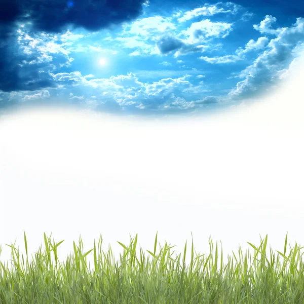 Zöld fű a kék ég alatt — Stock Fotó