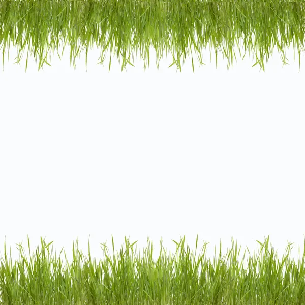 Abstrato verde natureza fundo com grama — Fotografia de Stock