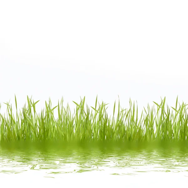 Fond naturel vert abstrait avec herbe — Photo