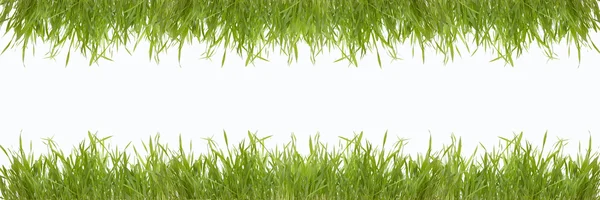 Abstract green nature background with grass — Stock Photo, Image