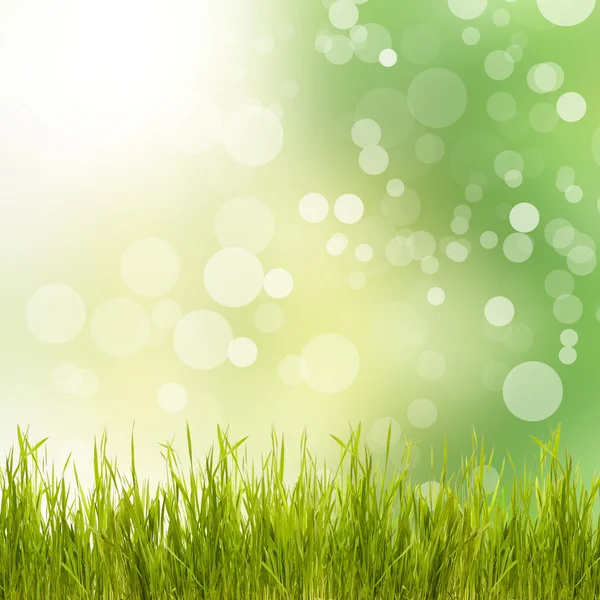 Fondo verde natural con hierba — Foto de Stock