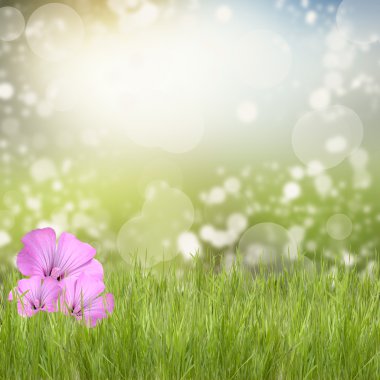 Green grass with beautyful flowers clipart