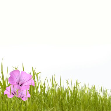 Green grass with beautyful flowers clipart