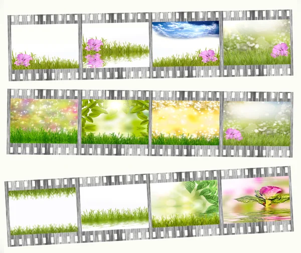 Film strip with different photos of nature — Stock Photo, Image