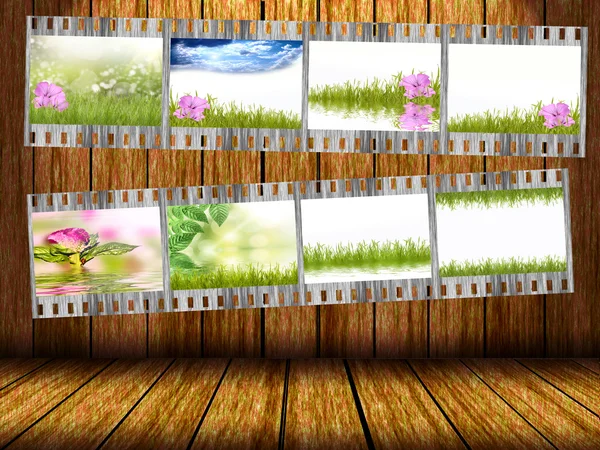 Film strip with different photos of nature — Stock Photo, Image