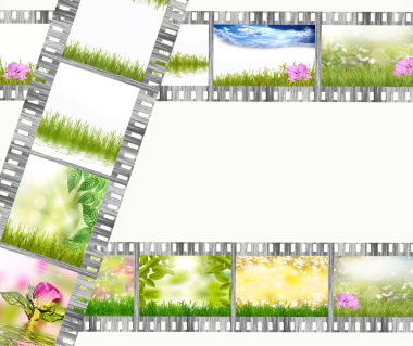 Film şeridi doğa ve çiçekler farklı fotoğrafları
