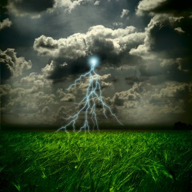 The wheat field and storm with lightnings clipart