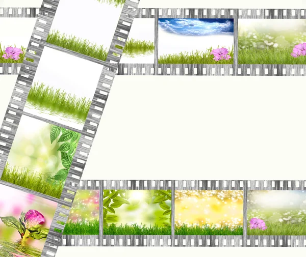 stock image Film strip with different photos of nature and flowers