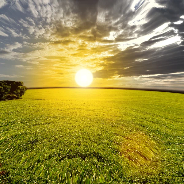 Neuvěřitelný pohled na zelené trávě, modrá obloha a krásné cloud — Stock fotografie