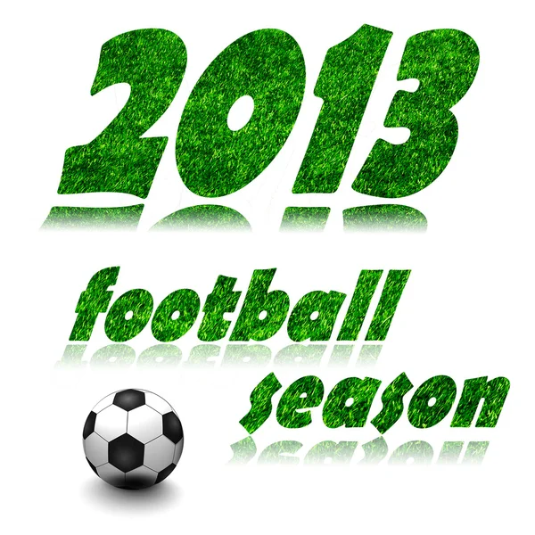 Voetbal 2013 op een witte achtergrond — Stockfoto