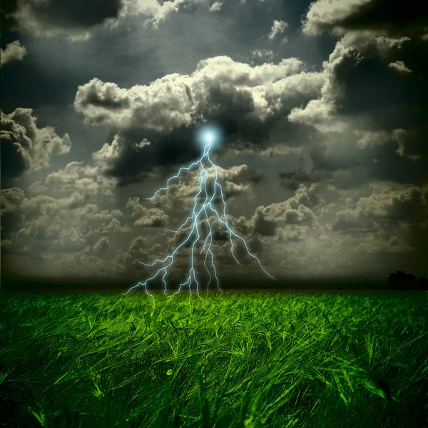 The wheat field and storm with lightnings — Stock Photo, Image