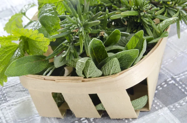 Herbs from the garden in a basket — Stock Photo, Image