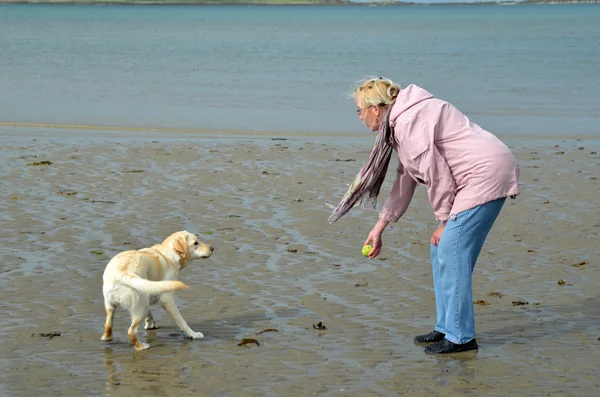 Woman with her ​​golden labrador playing on the beach — Stock Photo, Image