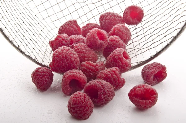 Freshly picked raspberries were cleaned — Stock Photo, Image