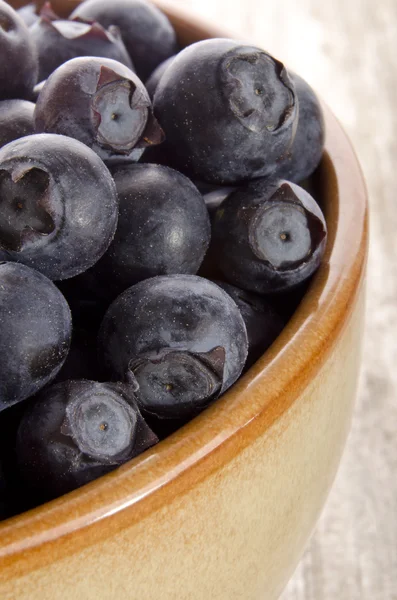 Nyplockade blåbär i en skål — Stockfoto