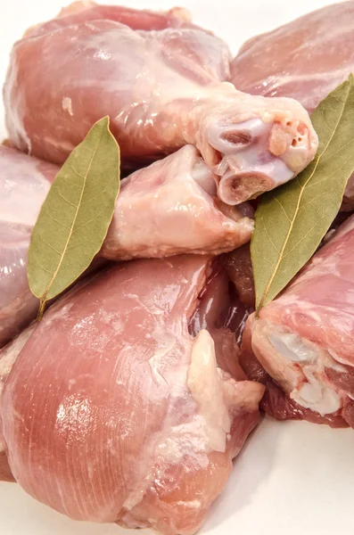 Uda z kurczaka z liść laurowy — Zdjęcie stockowe