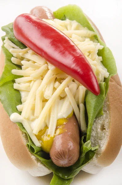 Hotdog with chili and grated mature cheese — Stock Photo, Image